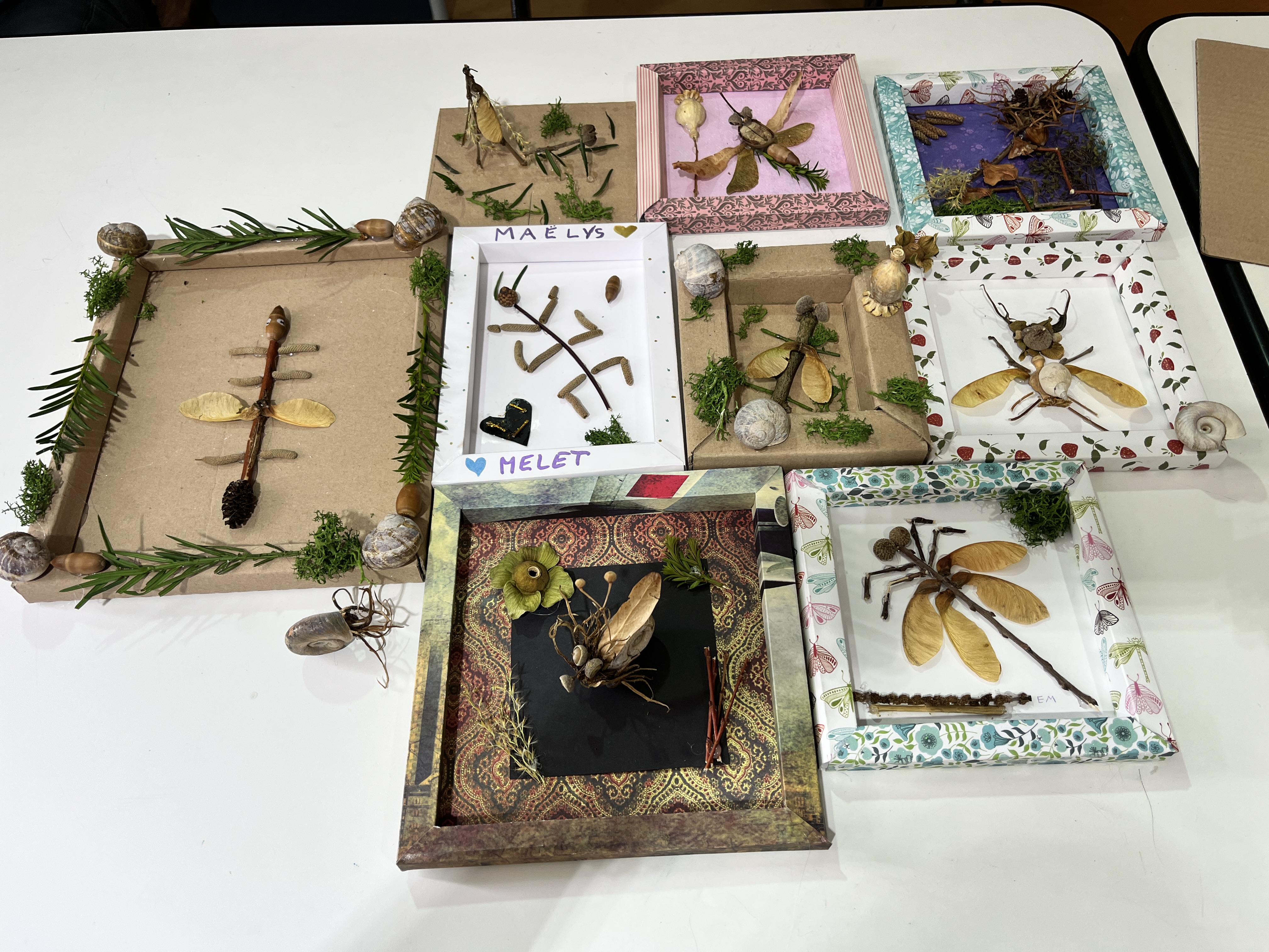 Atelier cabinet de curiosités