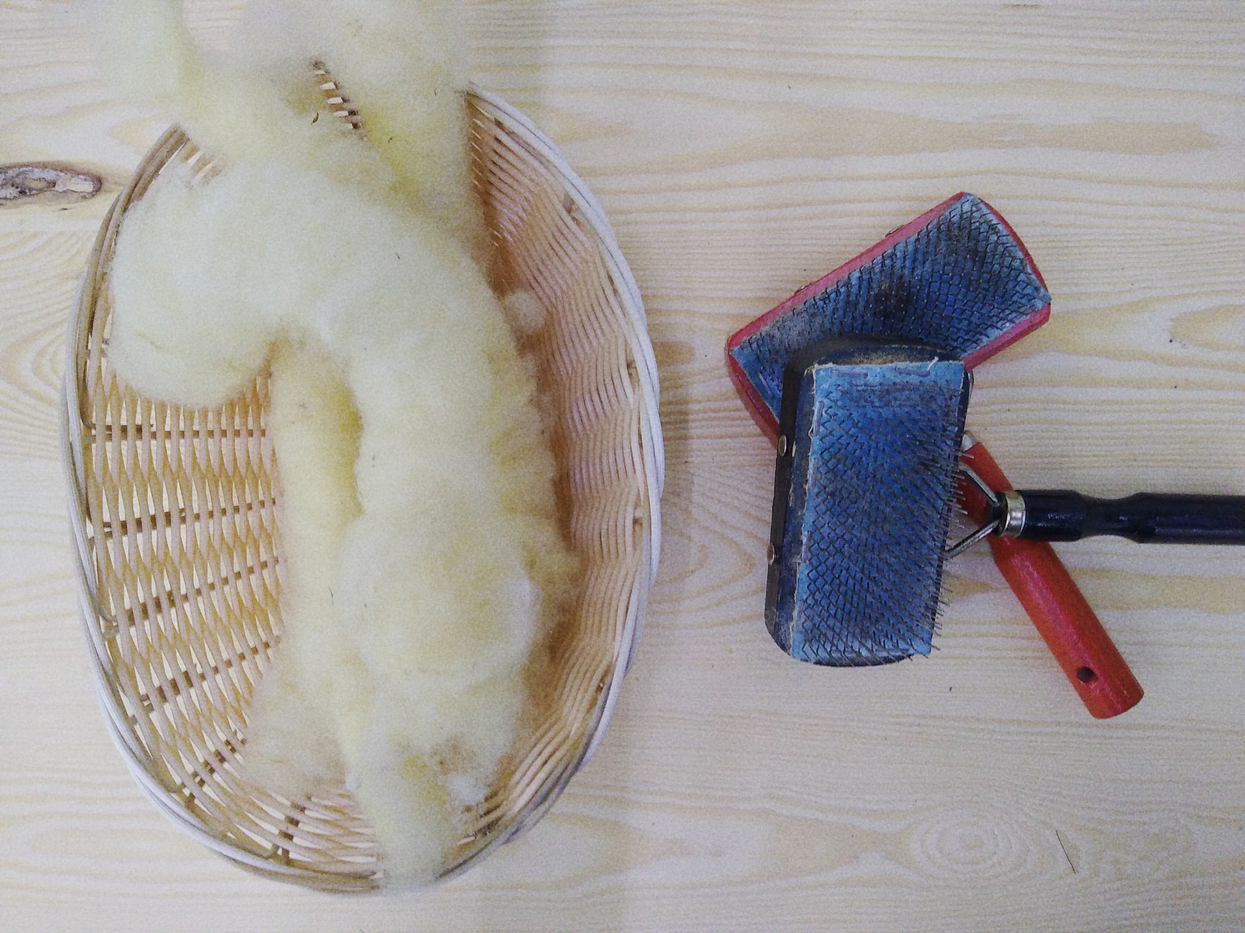Atelier Enfant la semaine de la laine