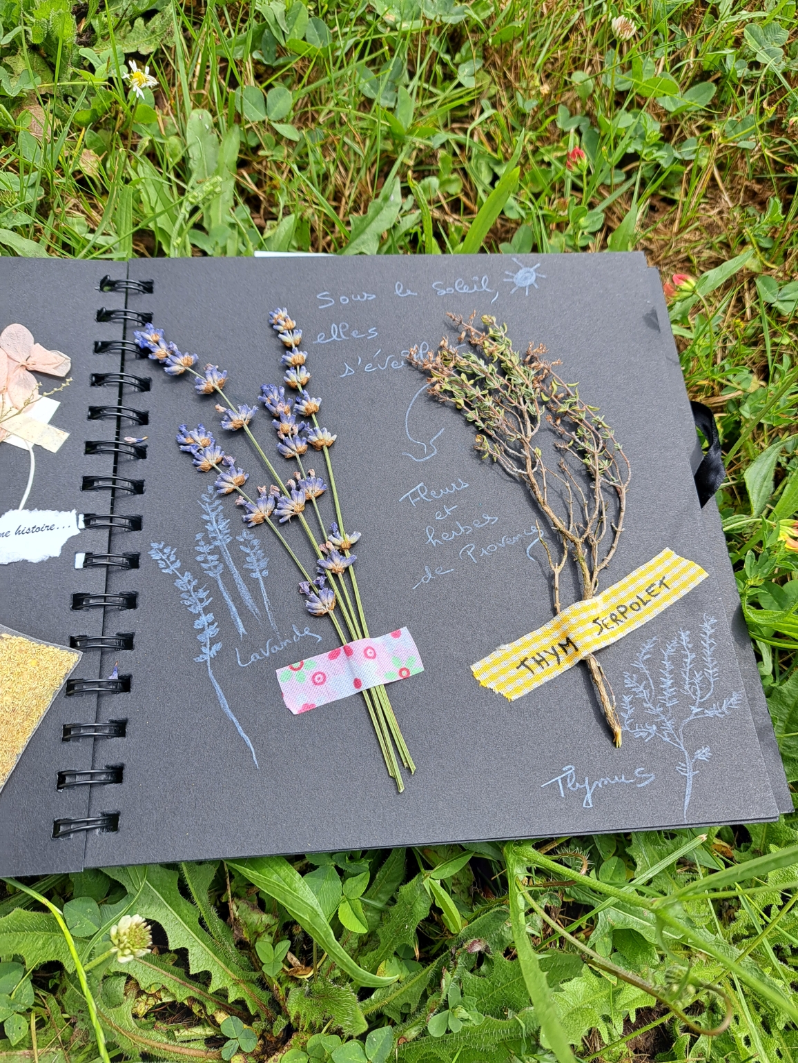 Création d'un carnet nature