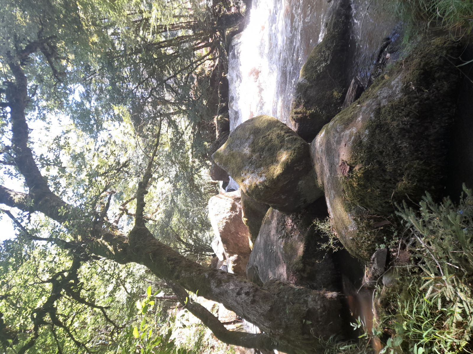 cascade chalaux petite