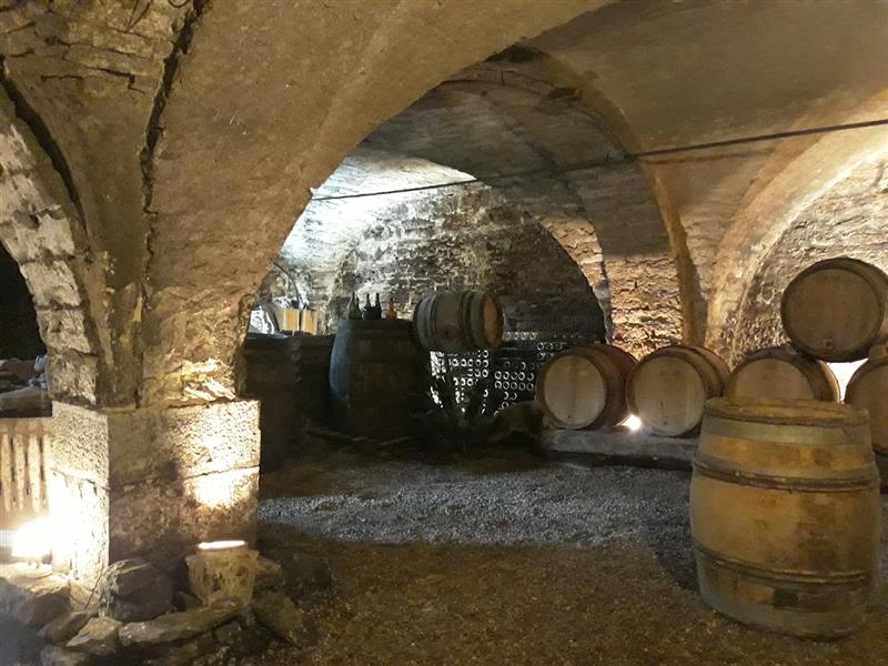 Portes ouvertes du Vignoble Vincent Cheviet à Bucey-lès-Gy