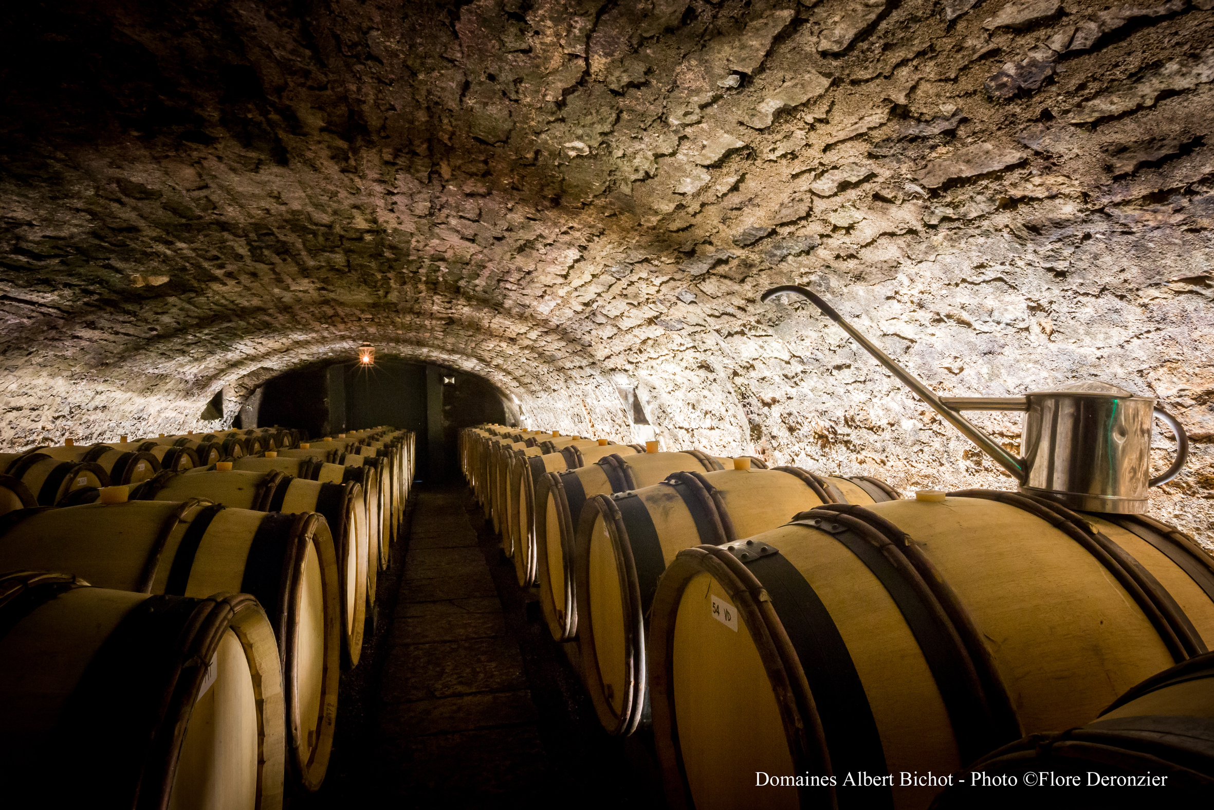 Cave à fûts du Domaine Long-Depaquit à Chablis