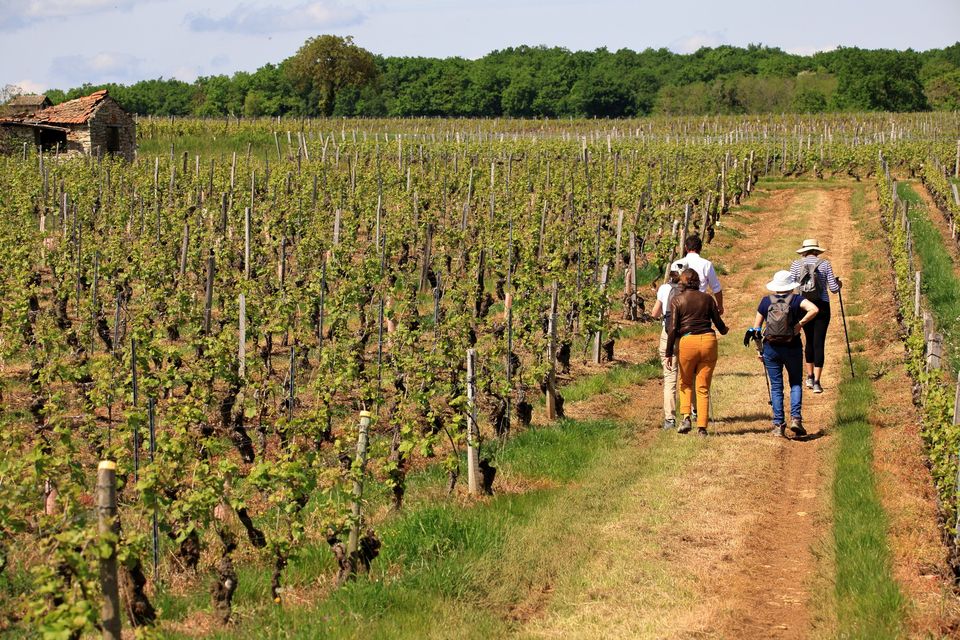 Le Chemin des Charmes