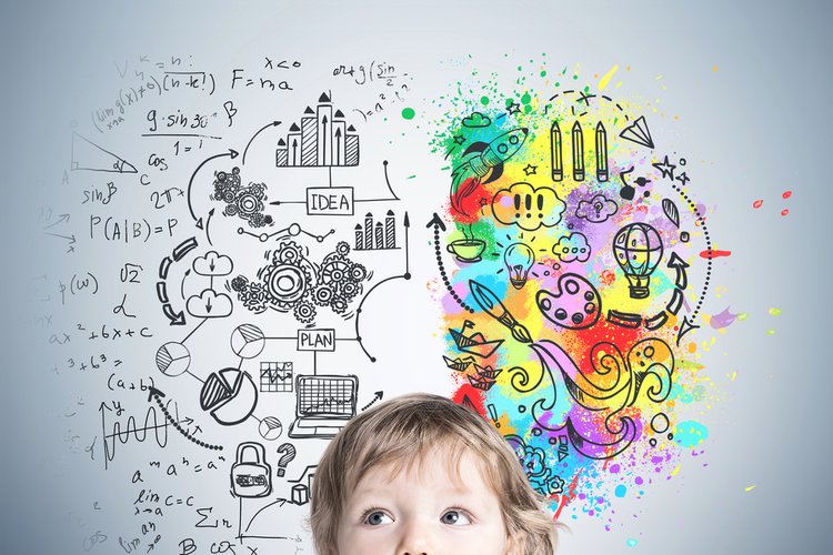 cerveau enfant