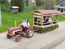 Transhumance des vaches pour notre juju