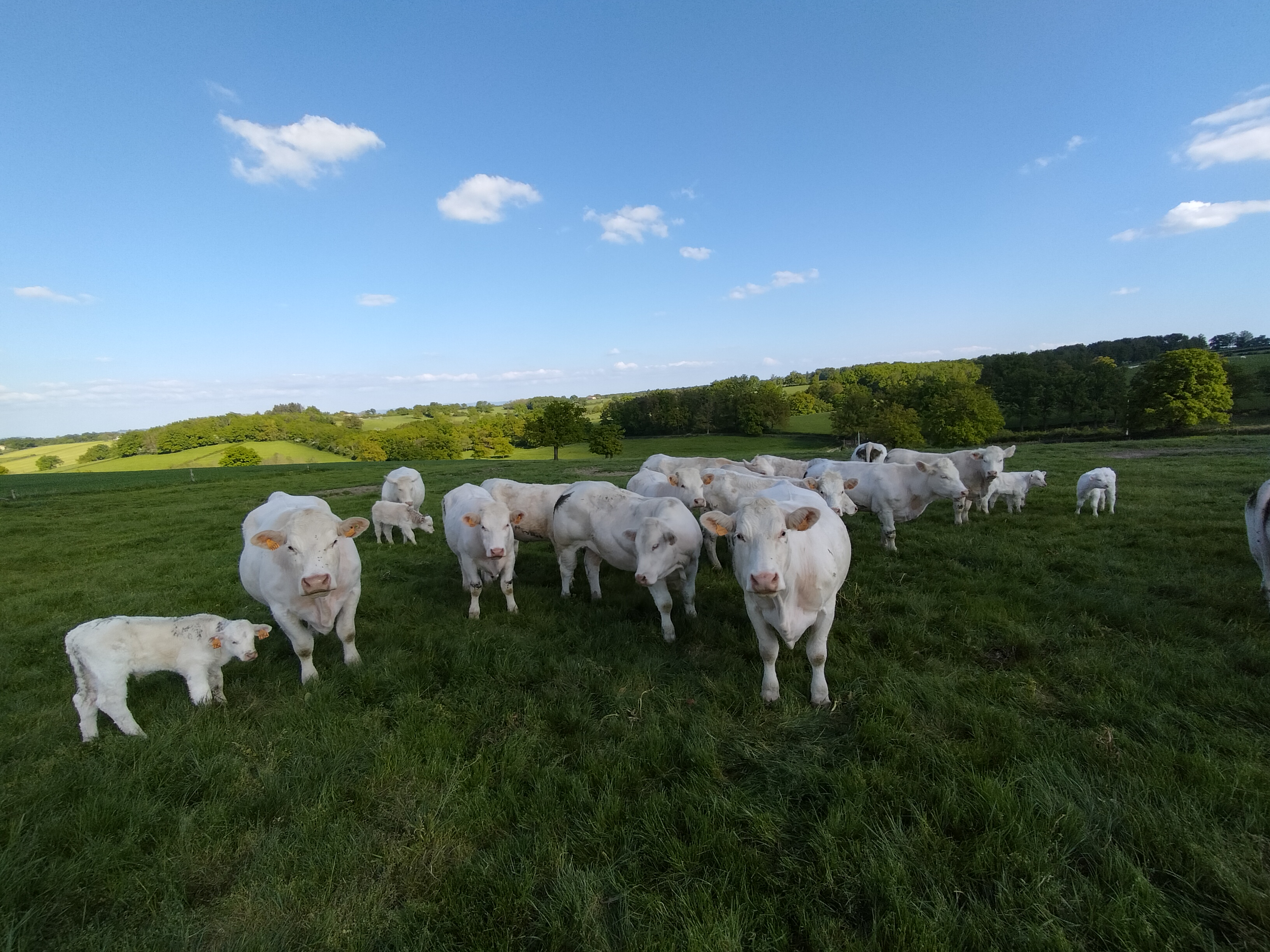De ferme en ferme