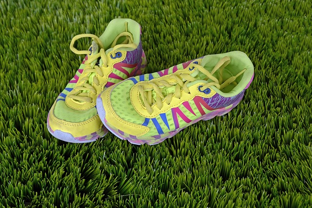 chaussures pour course à pieds
