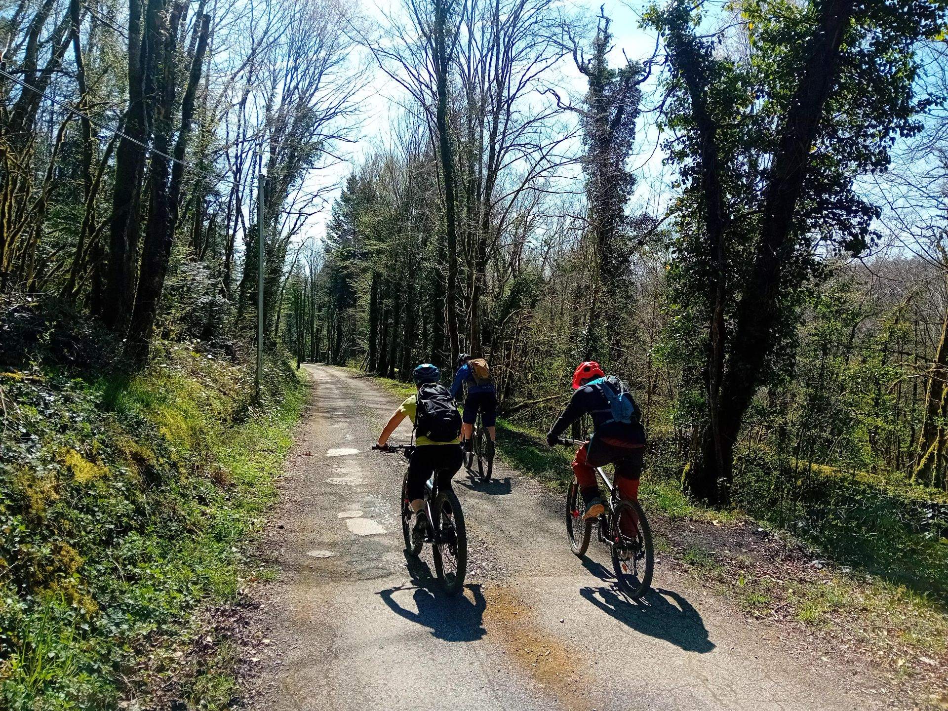 chenecey sentier 91 © Marie Pezzoli OT Loue Lison (1)