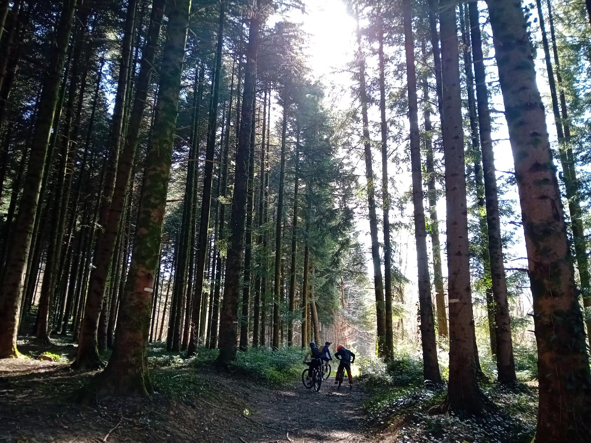chenecey sentier 91 © Marie Pezzoli OT Loue Lison (3)