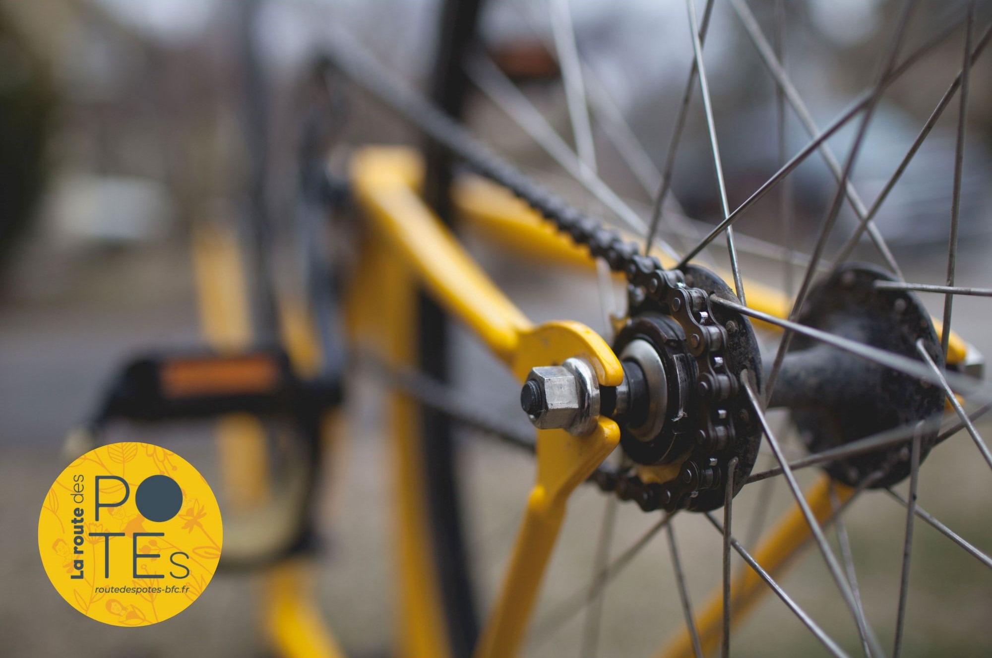 Réparation vélos