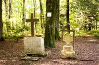 Bois des Fouchères
