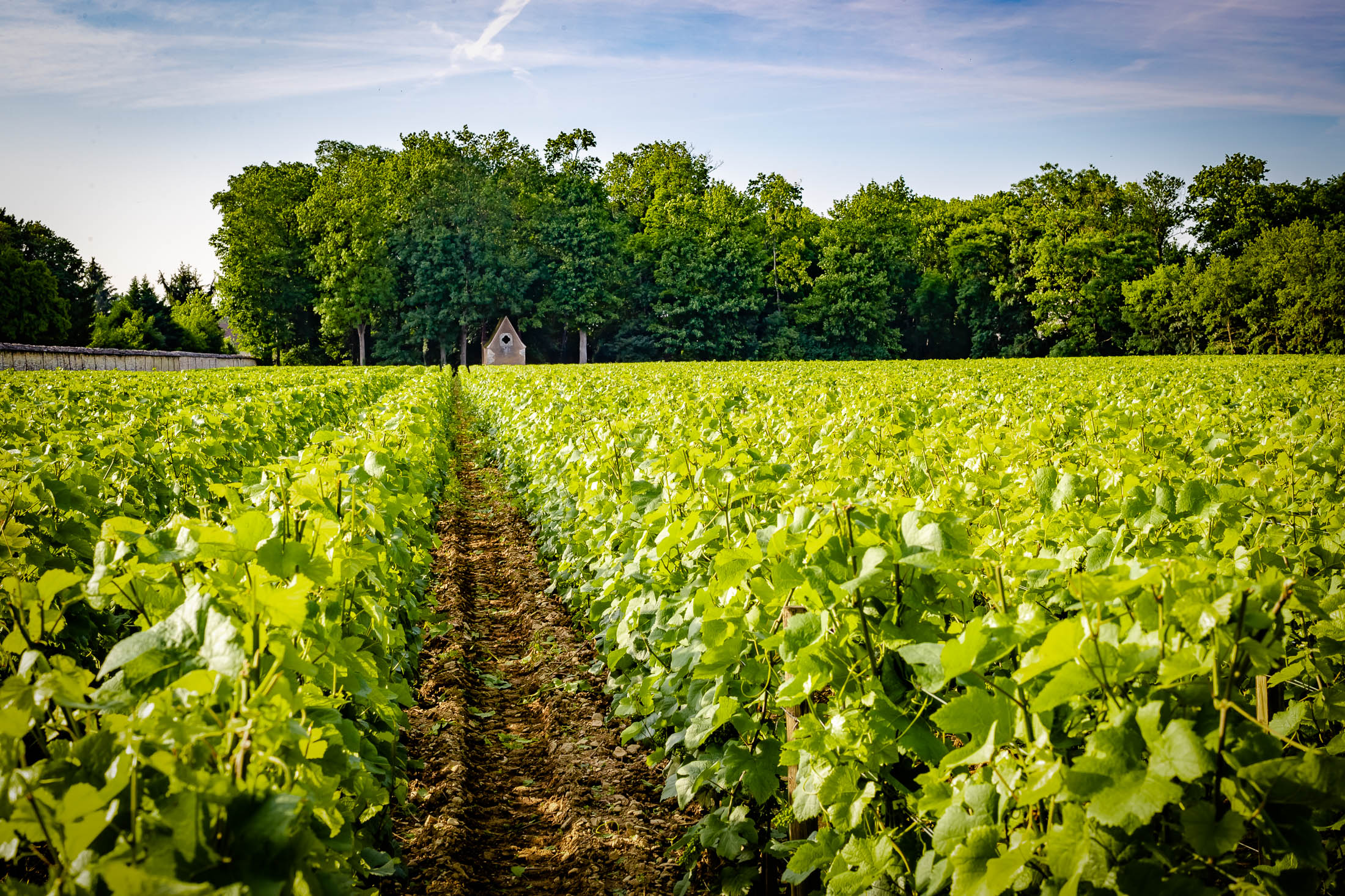 clos-frantin-33
