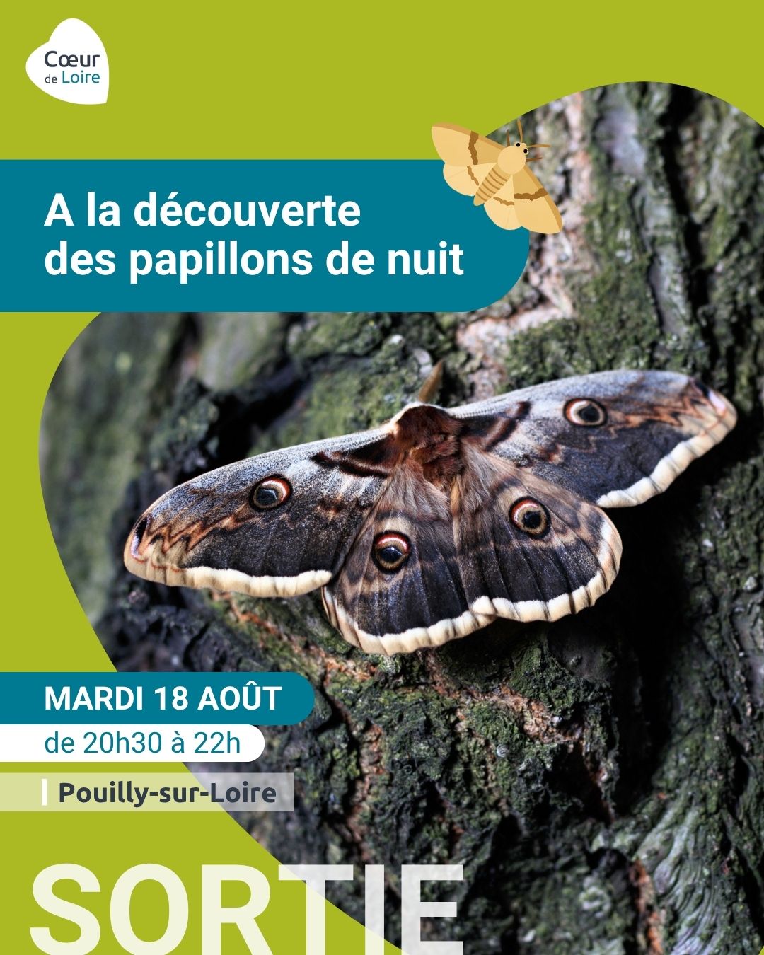 Club nature adulte - sortie "A la découverte des papillons de nuit"
