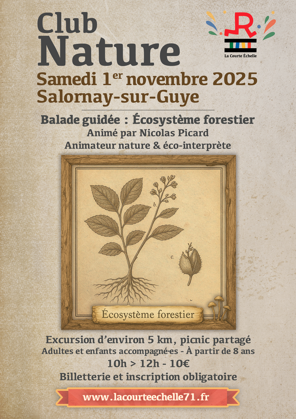 Club Nature – Balade guidée : Écosystème forestier, Samedi 1er Novembre