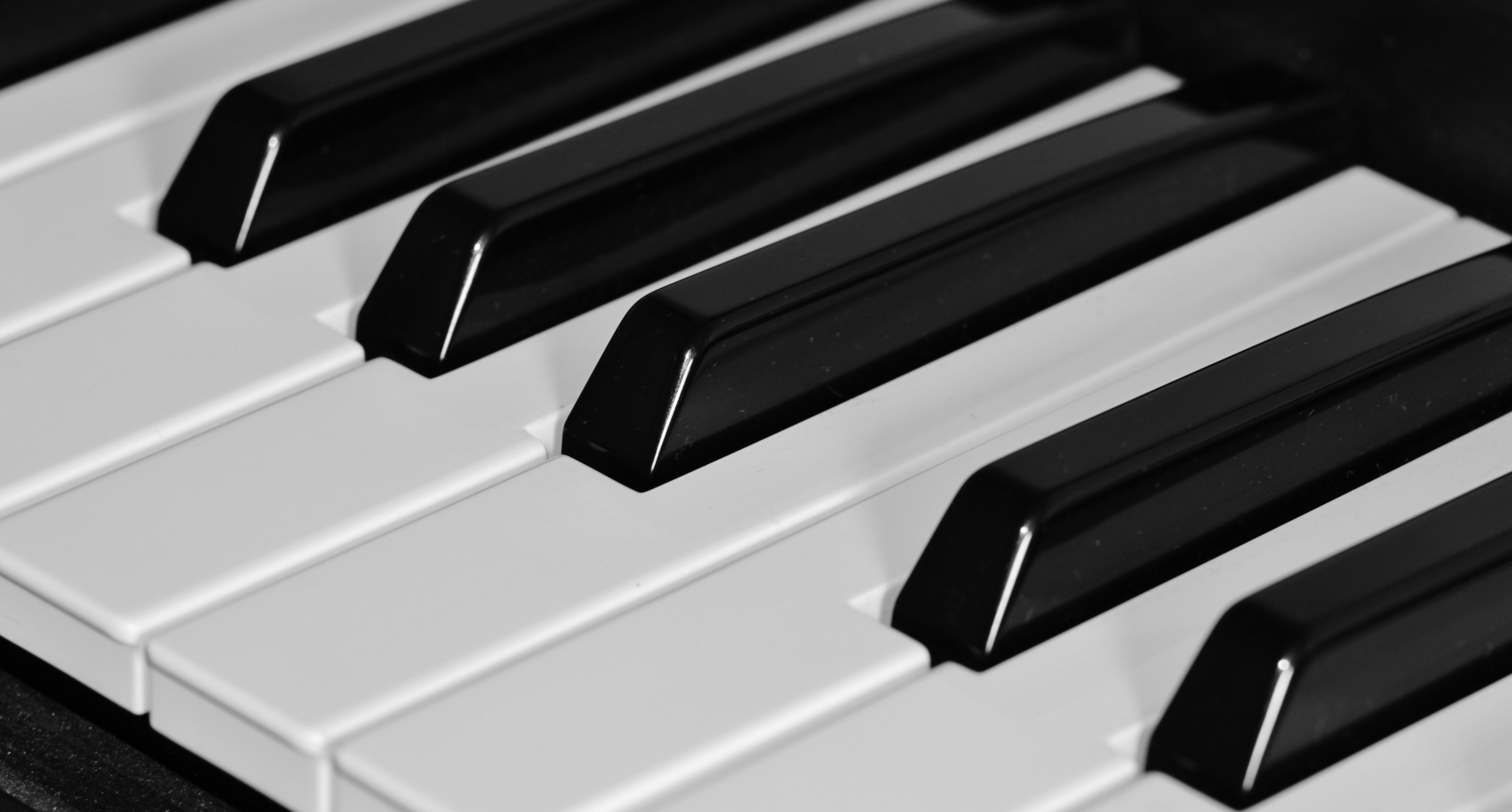 Concert piano et contrebasse