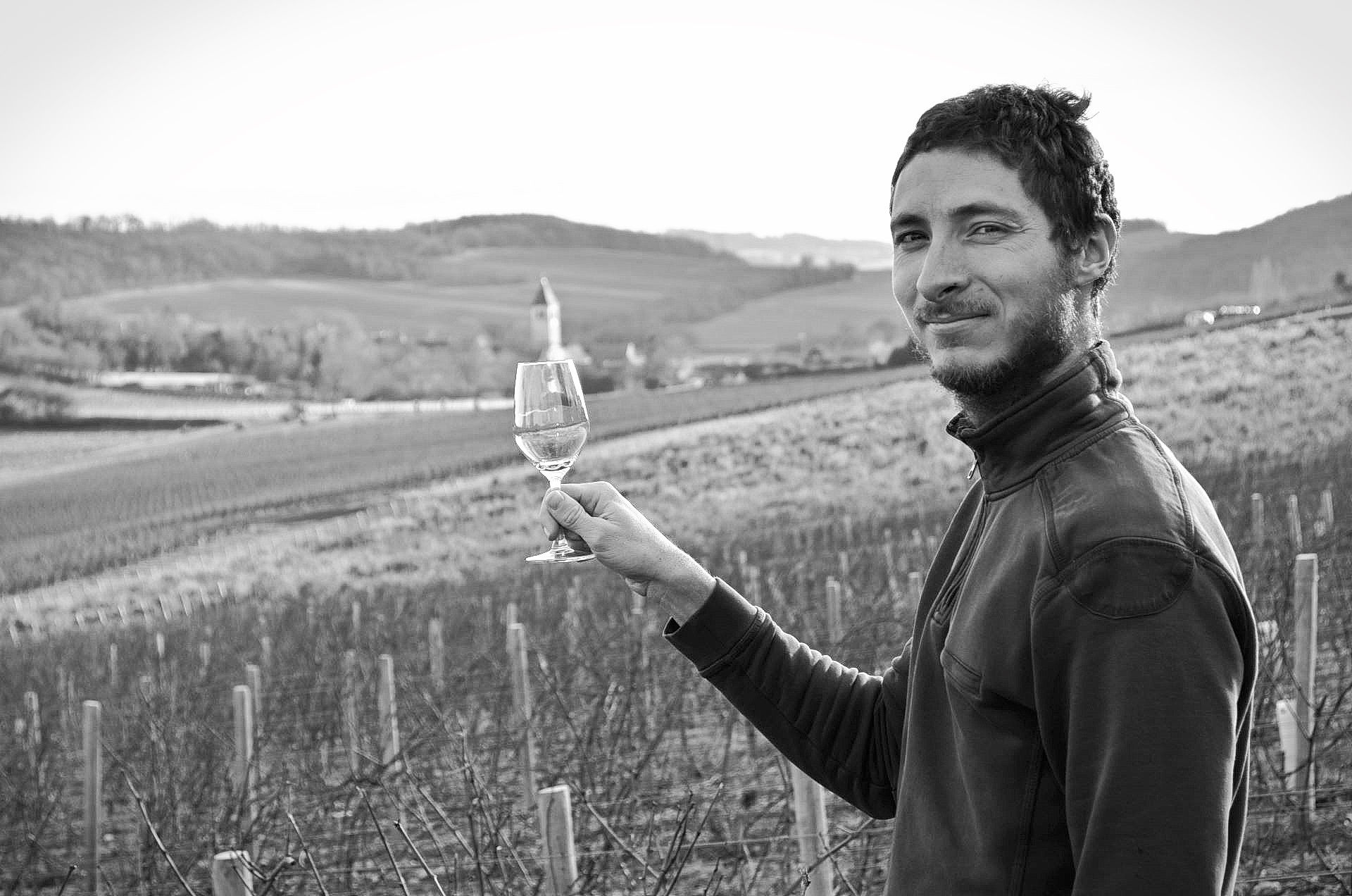 Découverte du vignoble du Domaine Debreuille