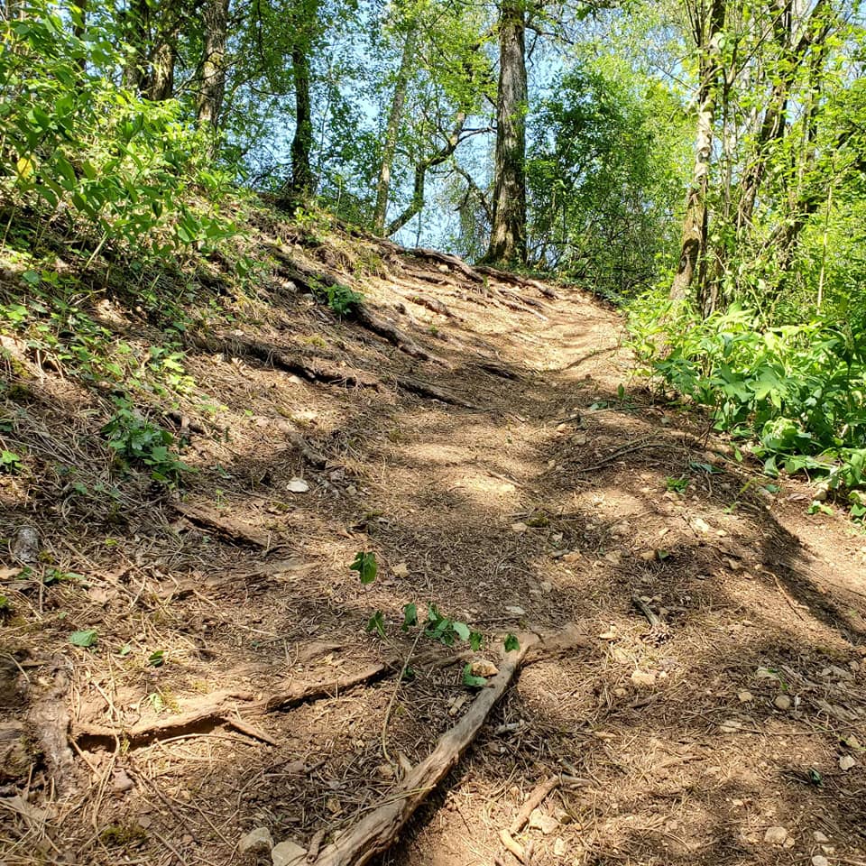 2EME EDITION DE LA COOLANGEOISE