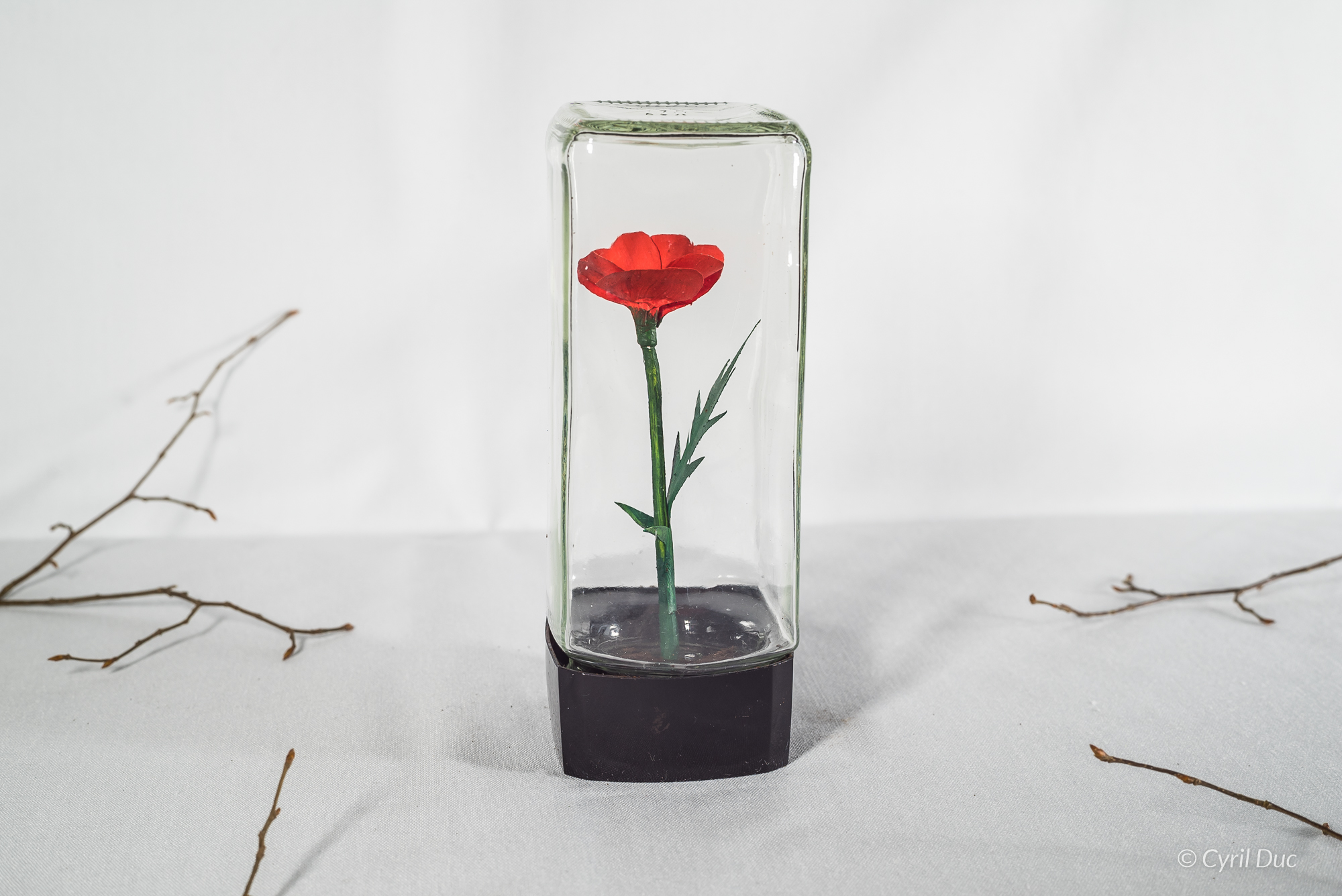 Coquelicot-rouge-sous-verre LM Chardon