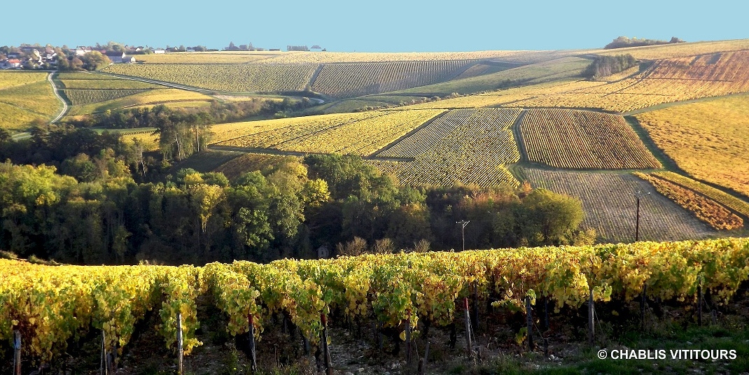 Vititours - Excursions dans le vignoble