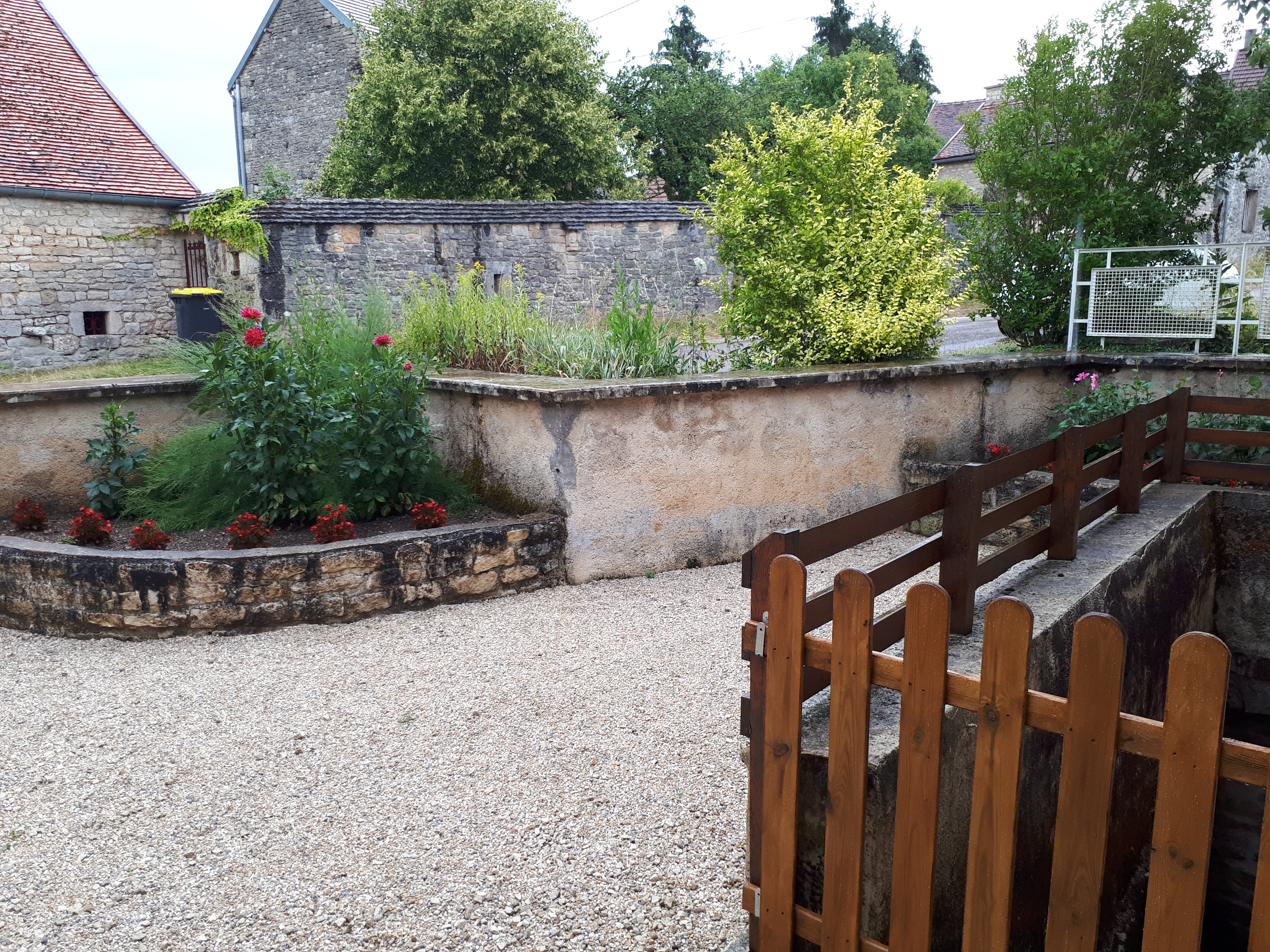 Les Marguerites