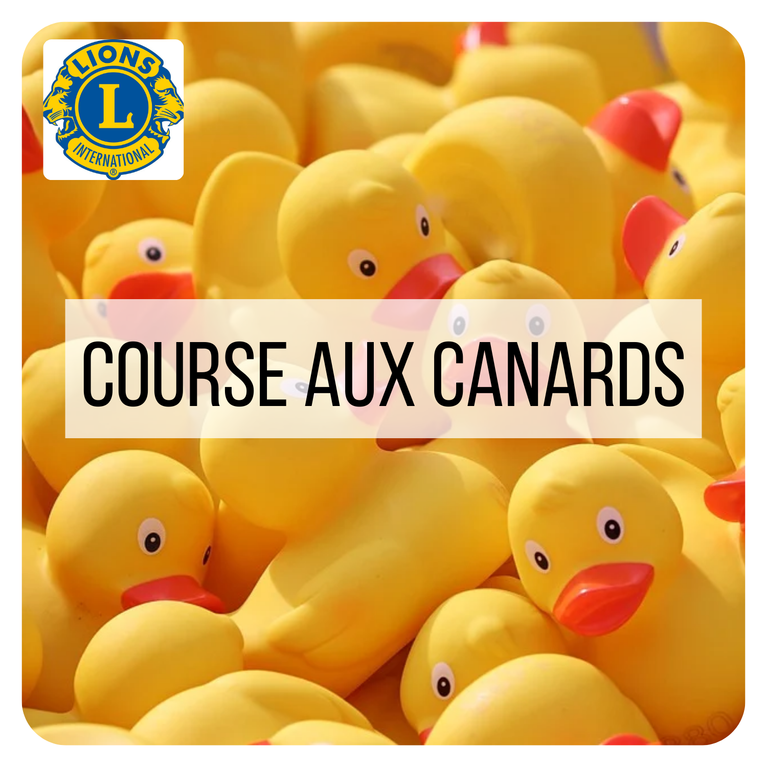 AGENDA - Photos calibrées