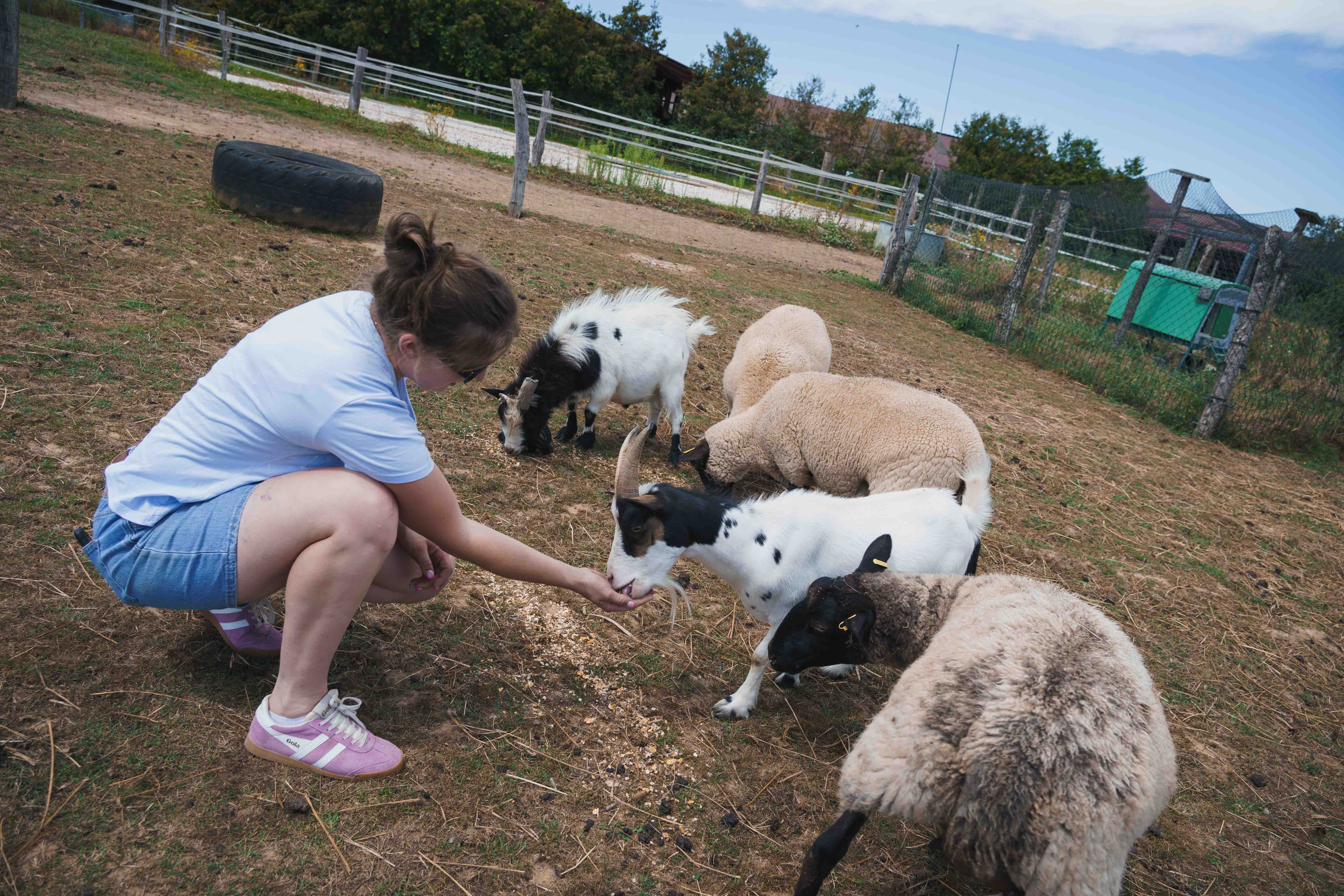 Mercredi à la ferme