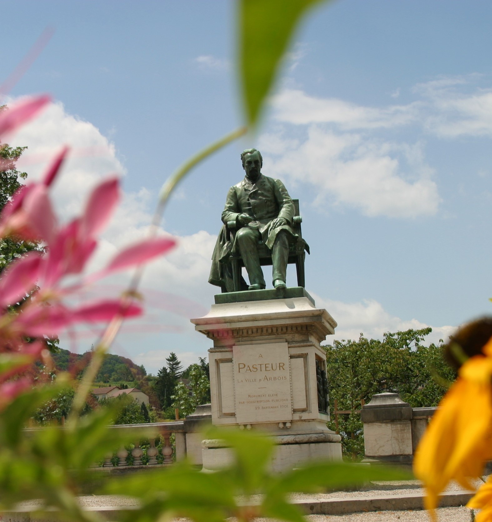 credit-triangledor (35)