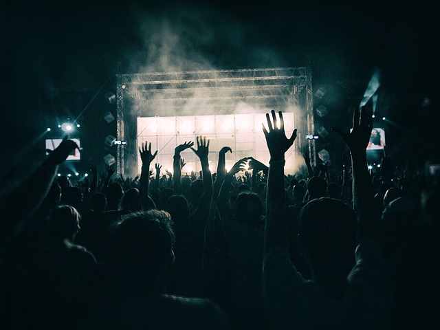 crowd-g9bd538830_640(c)Okan Caliskan de Pixabay