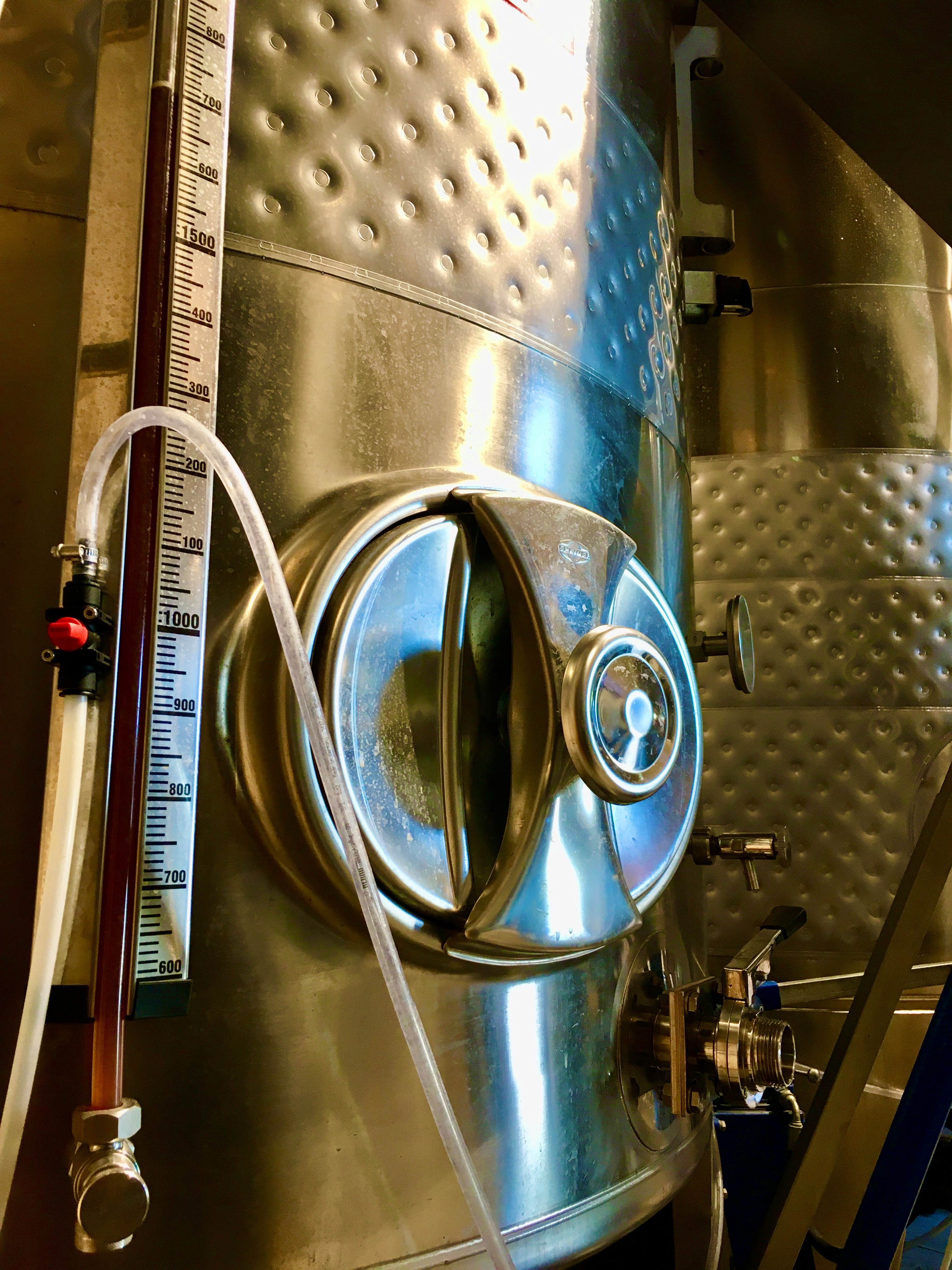 Cuve de notre Domaine
