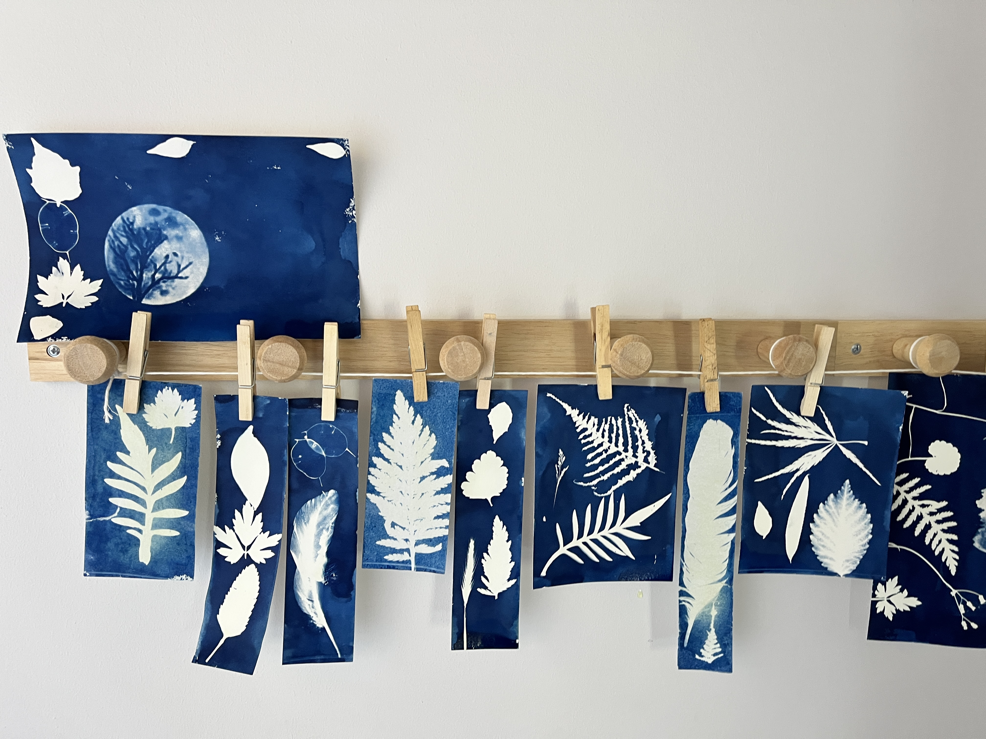 Impressions solaires : Cyanotype