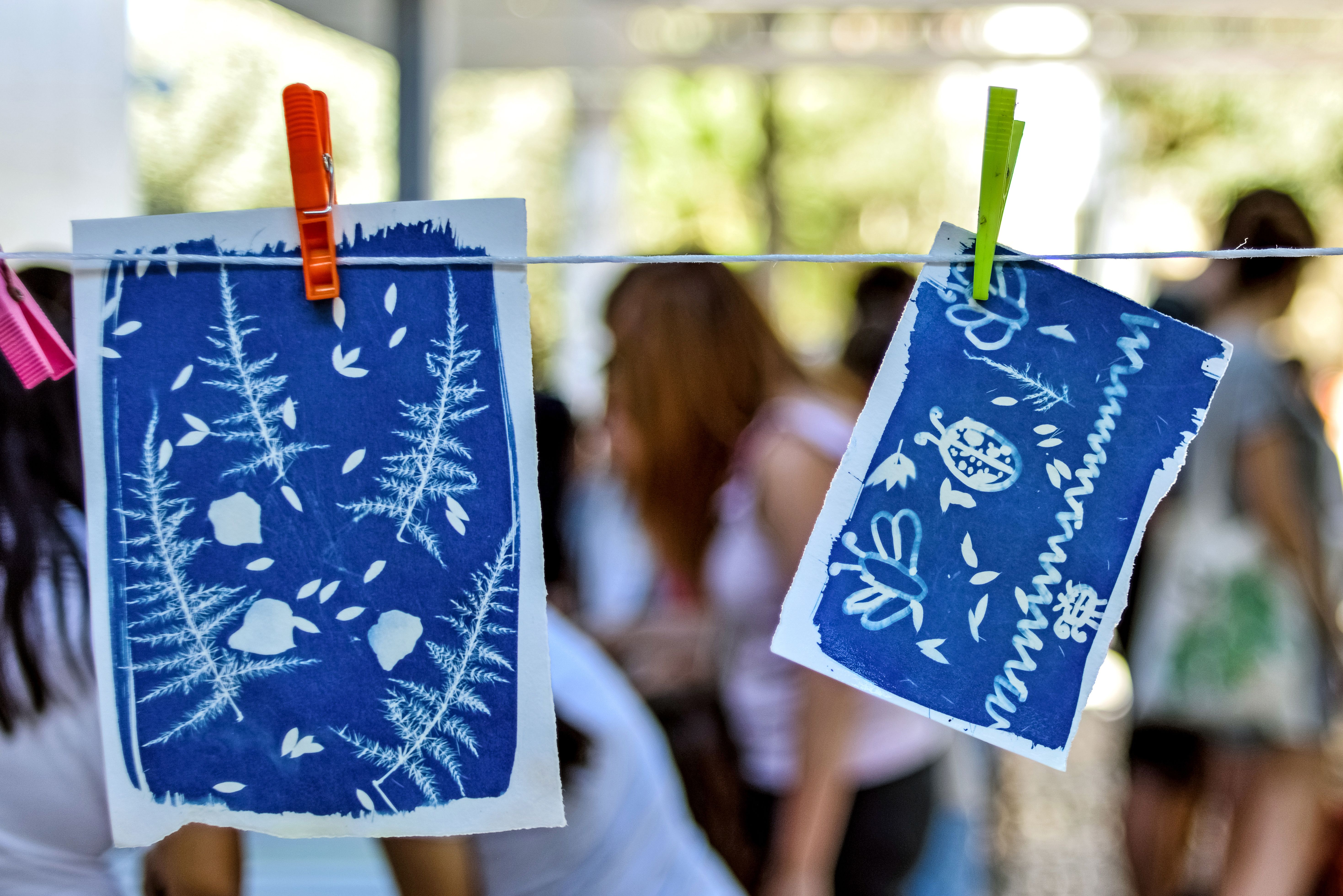 Valencia, Spain: 09.30.2018; The cyanotype