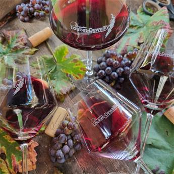 Dégustation spéciale Vente des Vins des Hospices de Beaune - Domaine Loubet-Dewailly