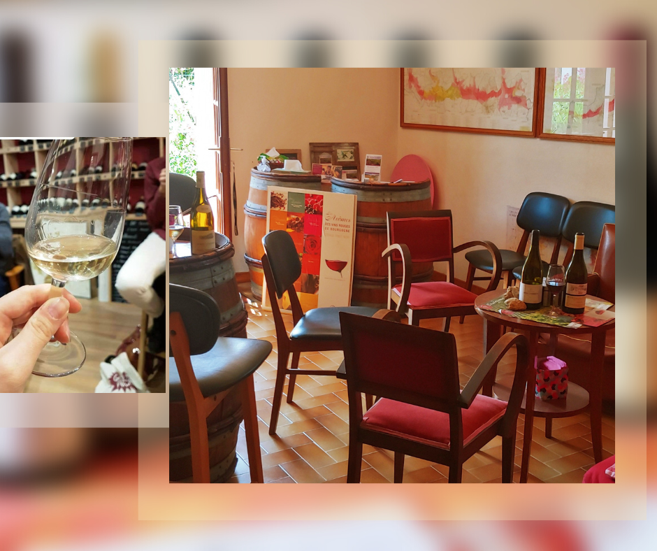 dégustation-de-vins-dans -le salon