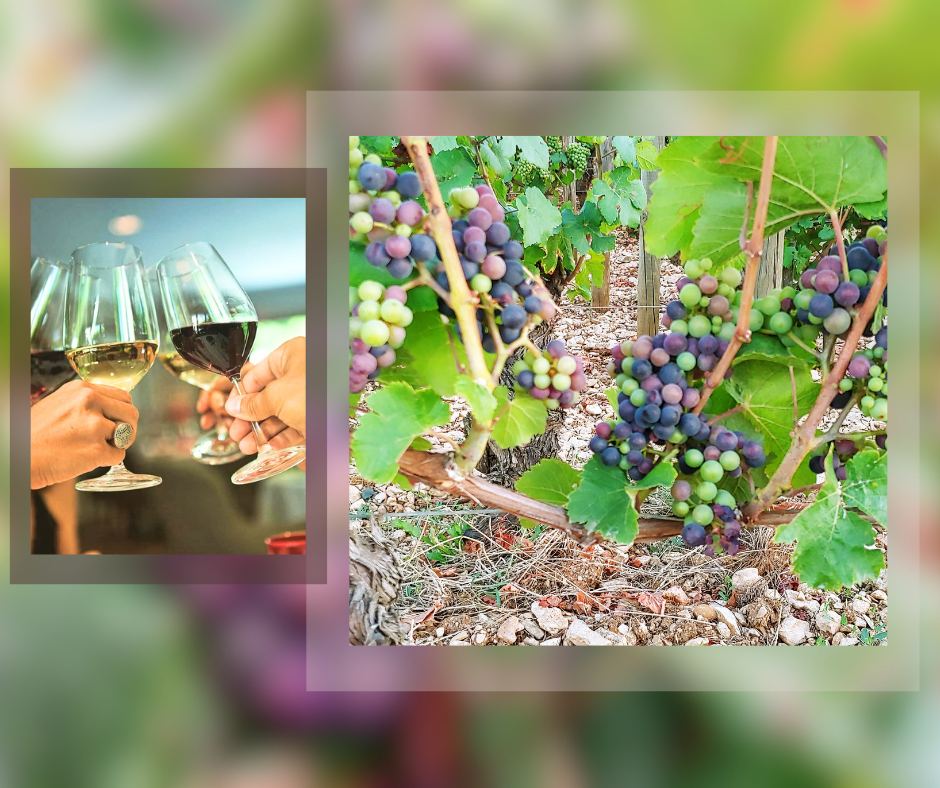 Album photo moderne - 2