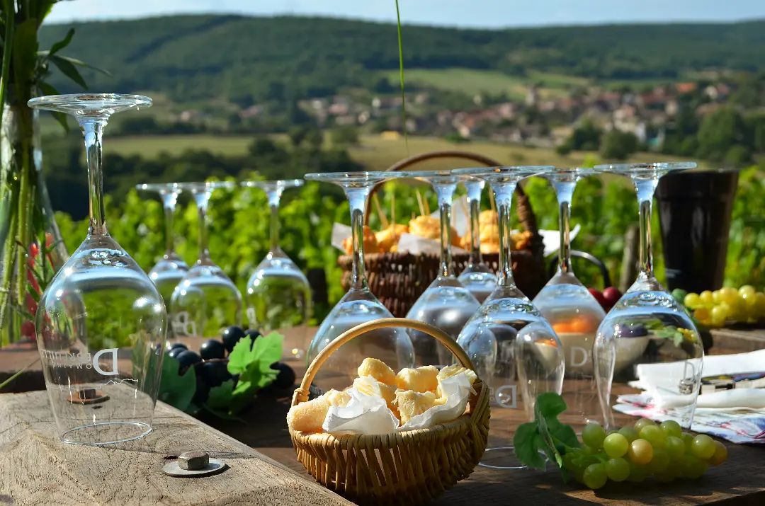Dégustation dans les vignes