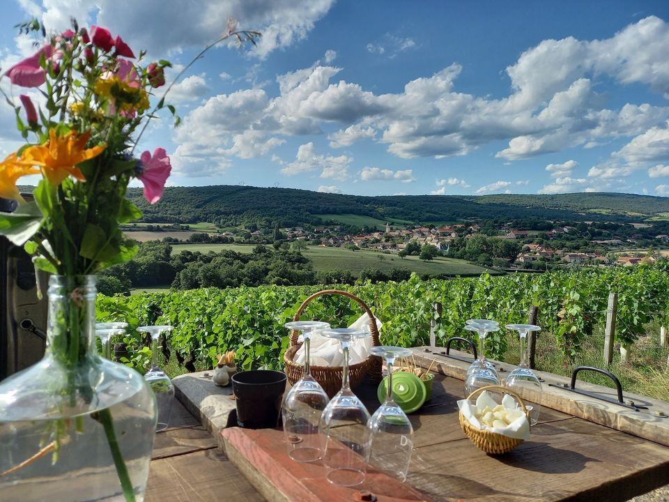 Dégustation dans les vignes