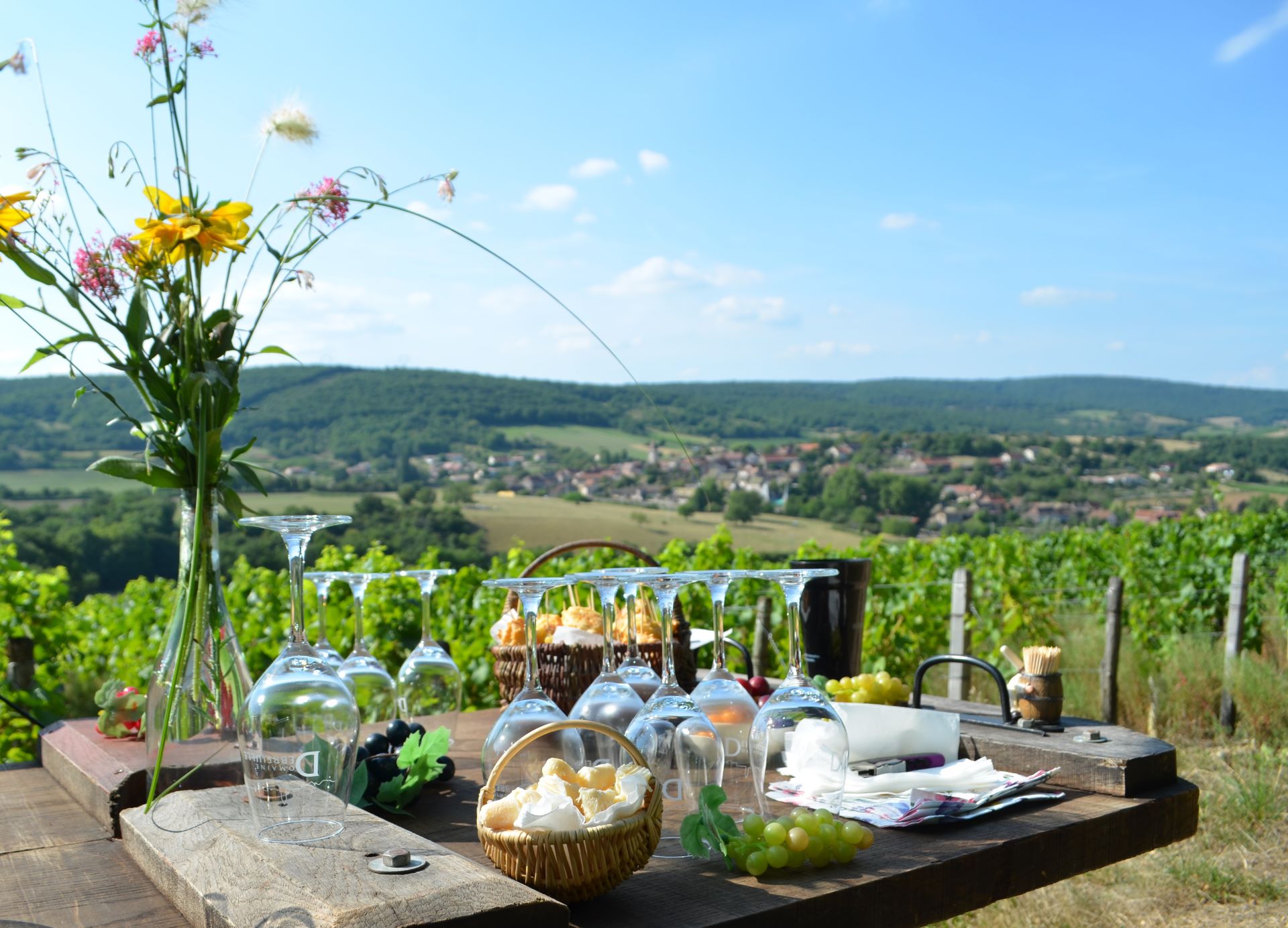 Dégustation au cœur des vignes