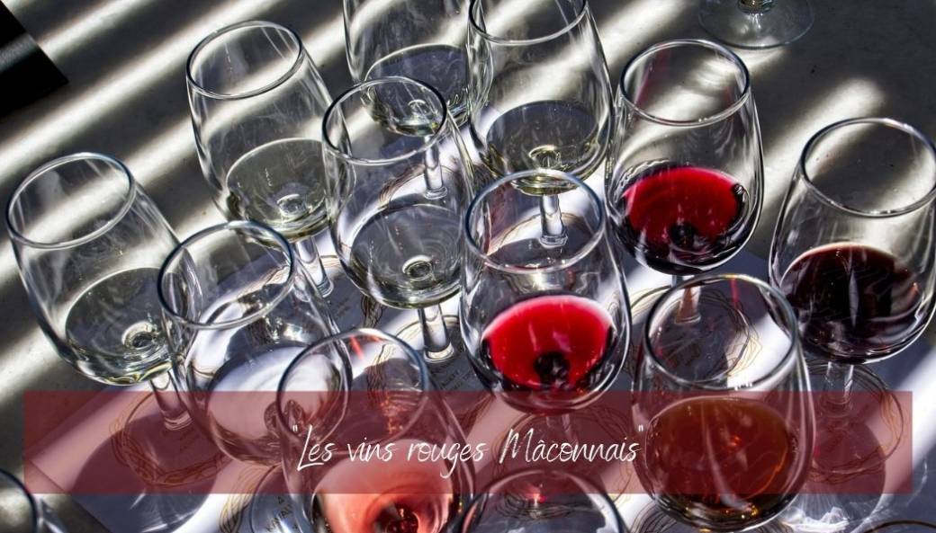 degustation-les-vins-rouges-maconnais