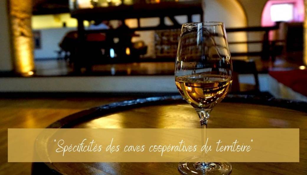 degustation-specificites-des-caves-cooperatives-du-territoire