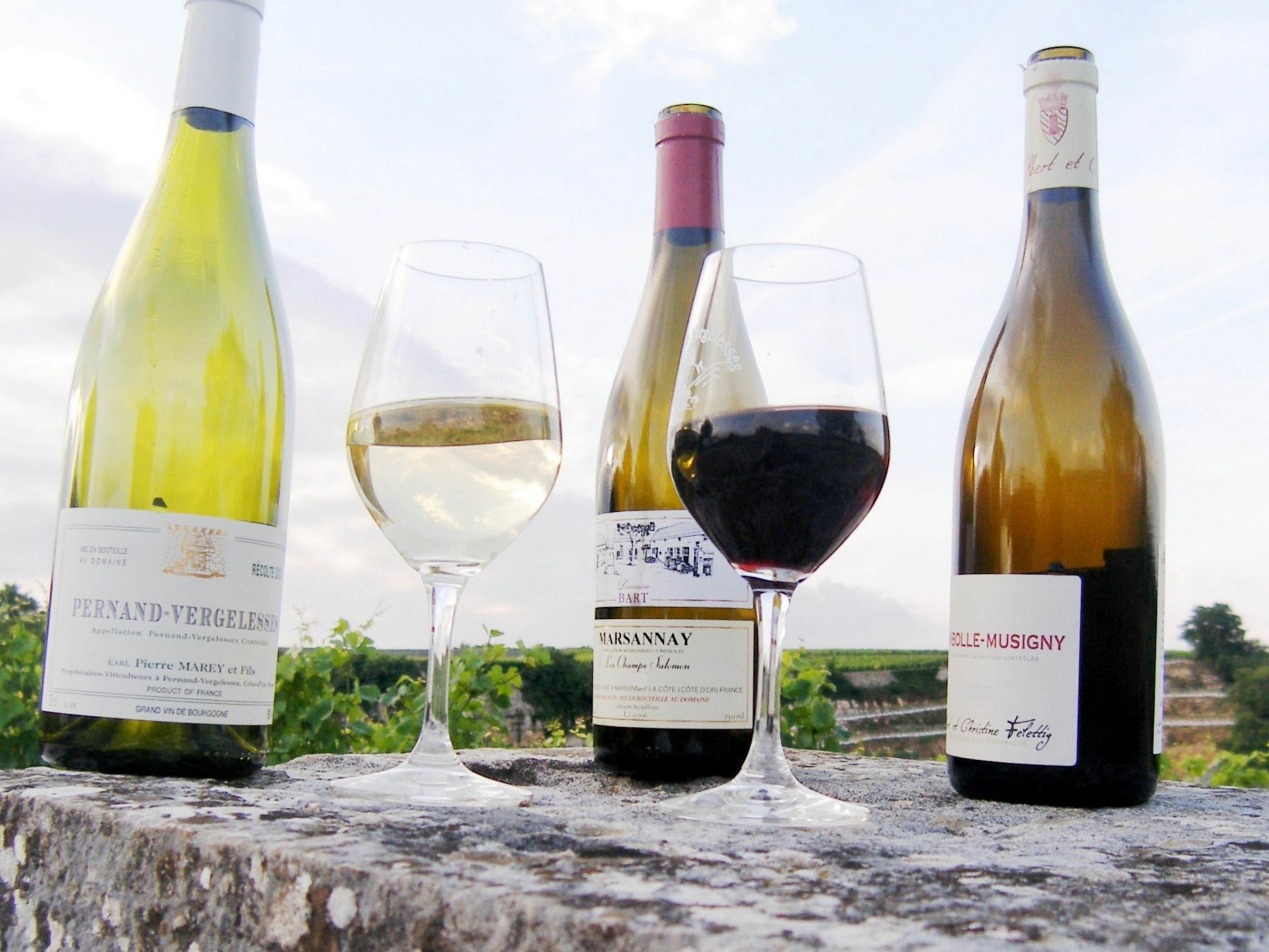 degustation sur un mur d'un grand cru
