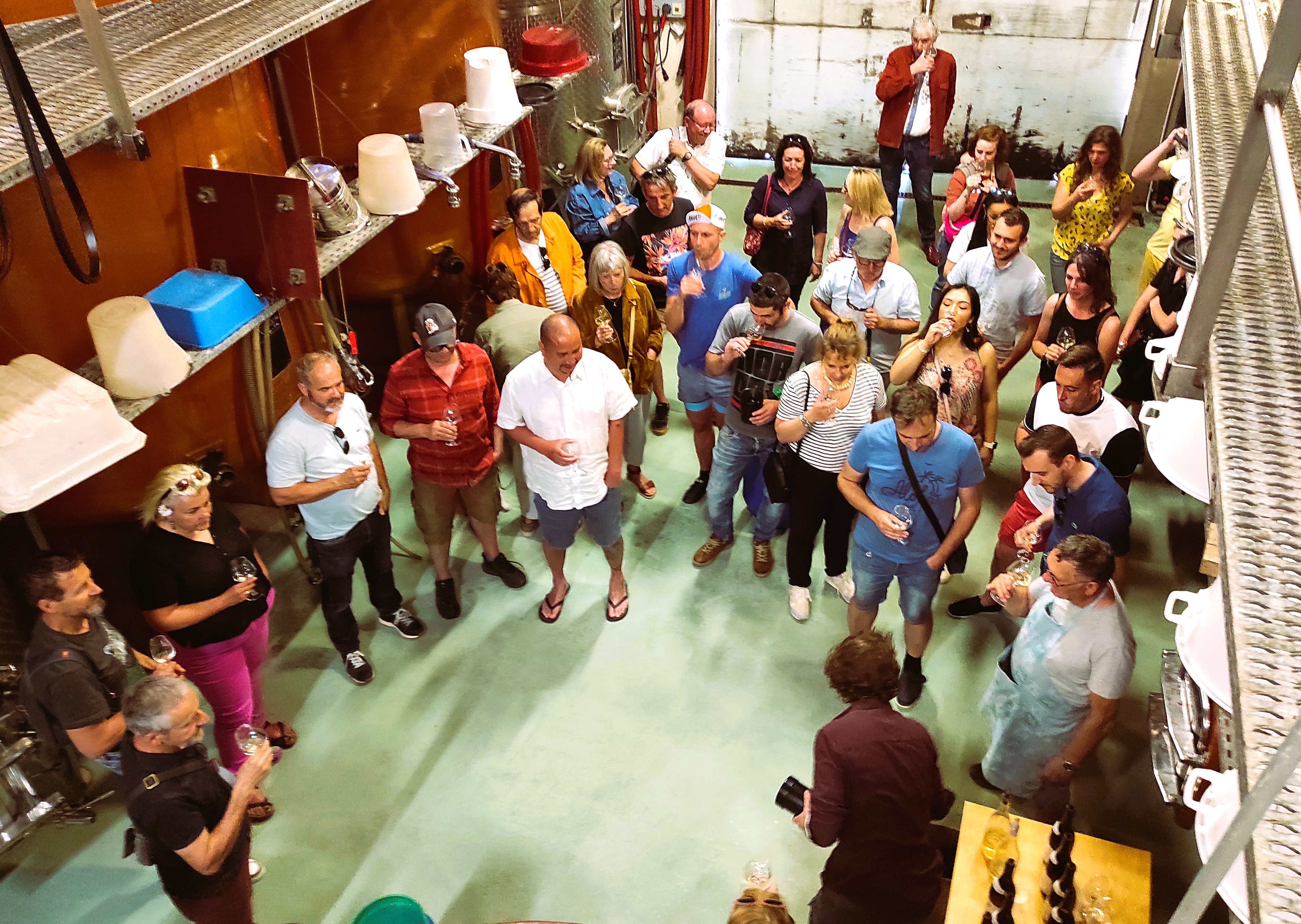 degustation verticale dans cuverie