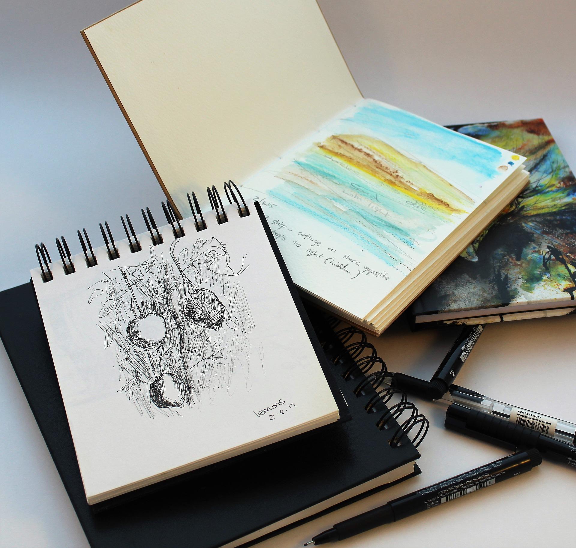 Observer, dessiner, créer au coeur des tourbières