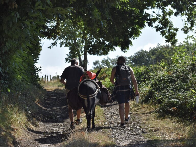 Bibracte fête la nature