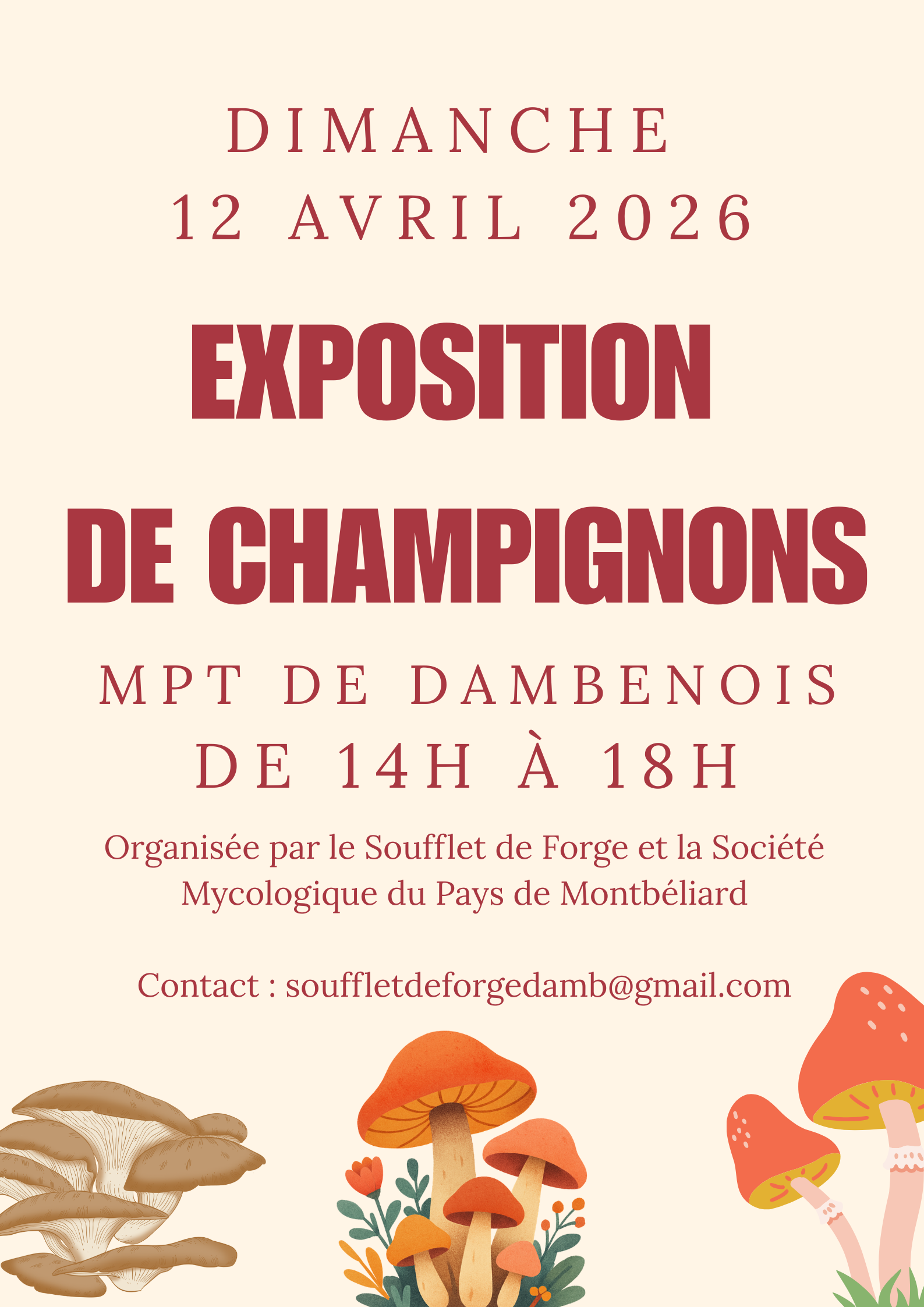 Exposition : Champignons