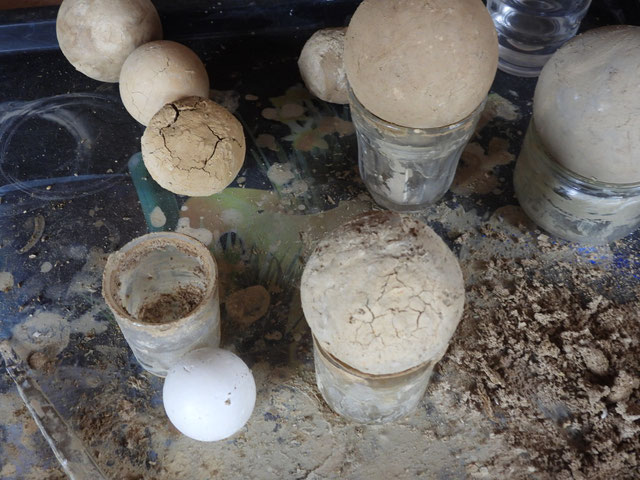 dorodango