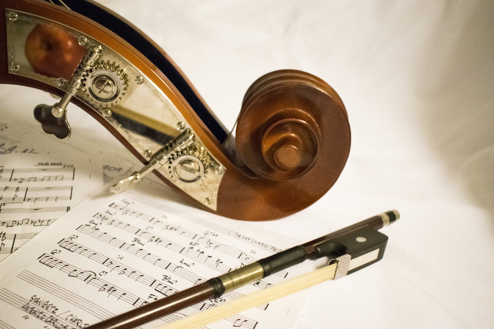 Violon