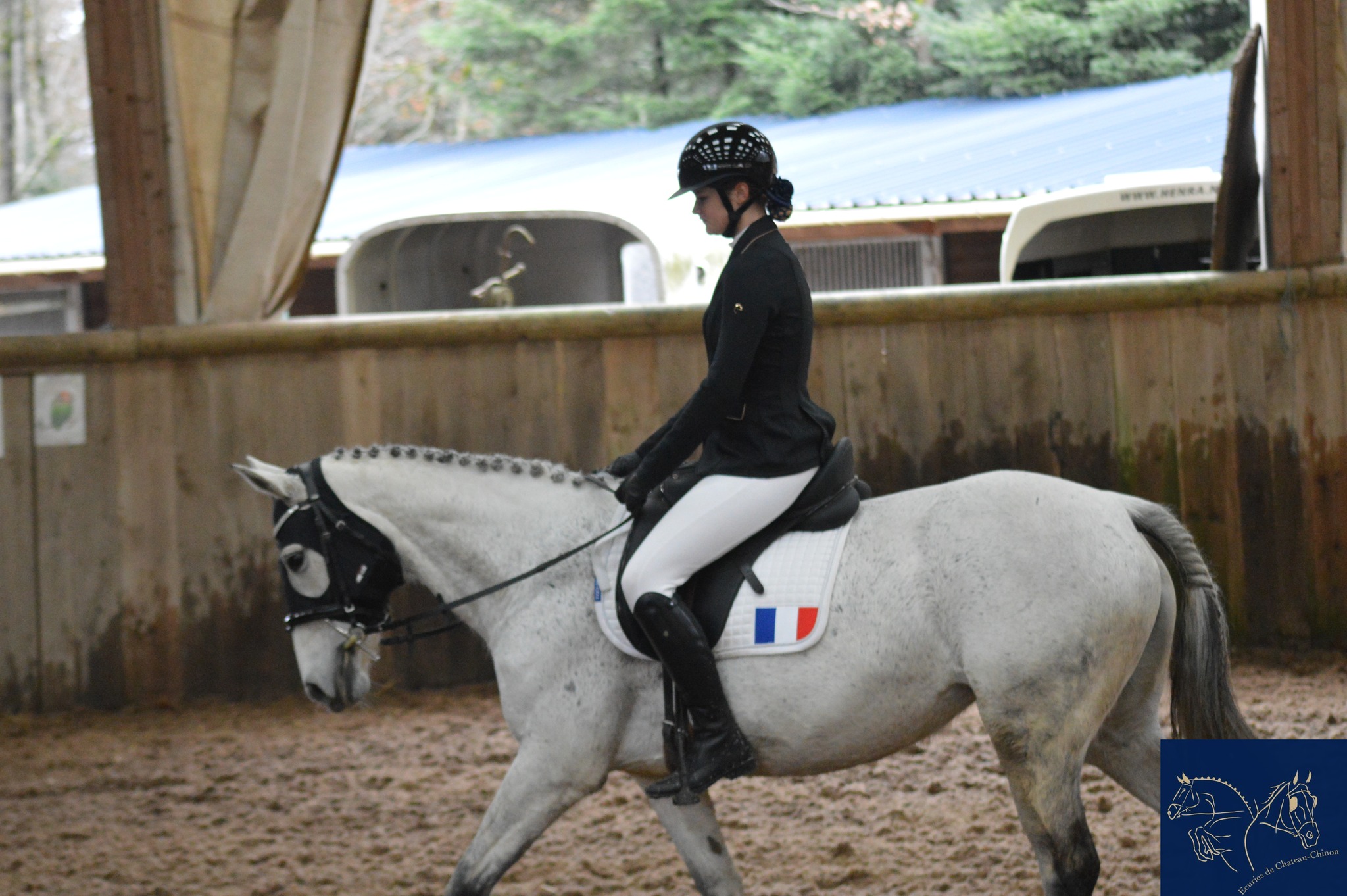 dressage fais