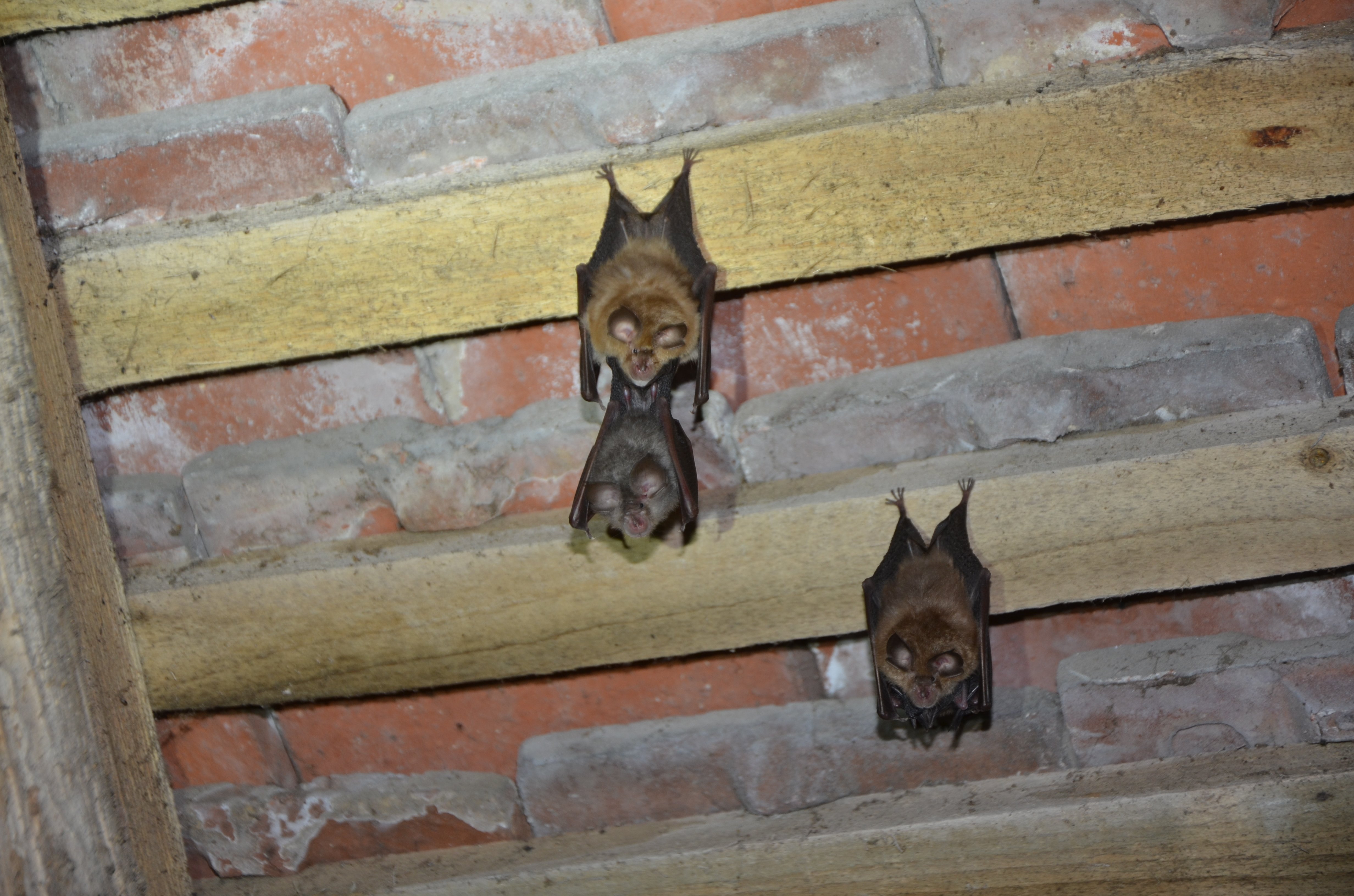 eglise 22072021 (5)(1)