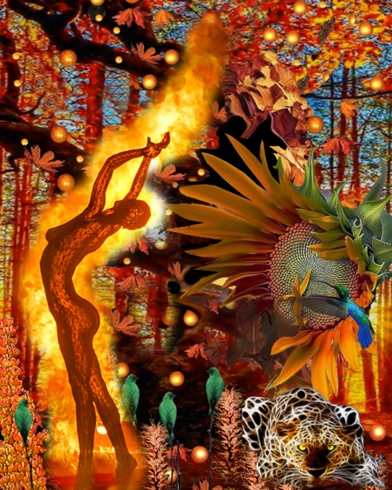 EXPOSITION CLAUDE PLACE