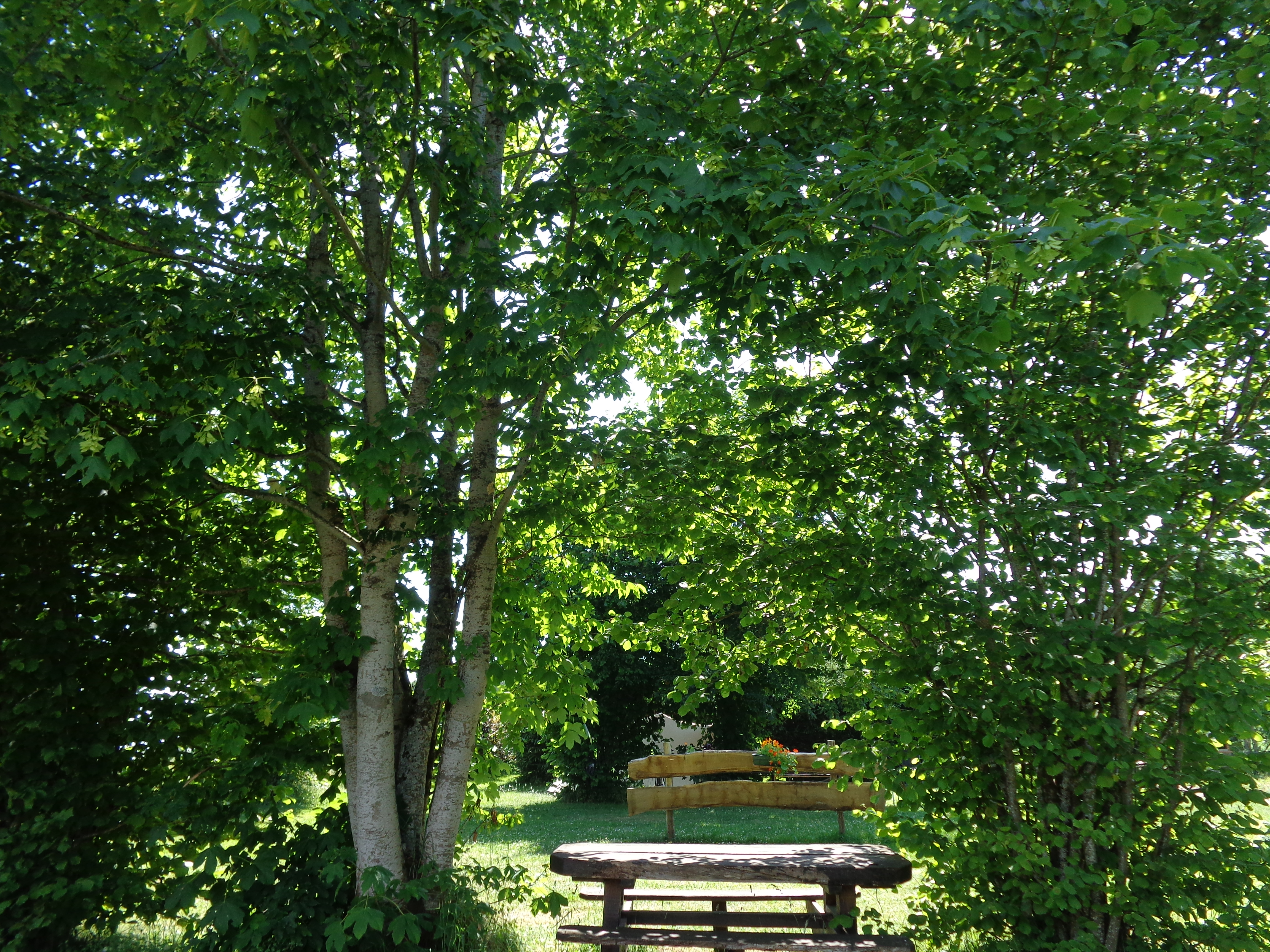 Camping de Montaigu